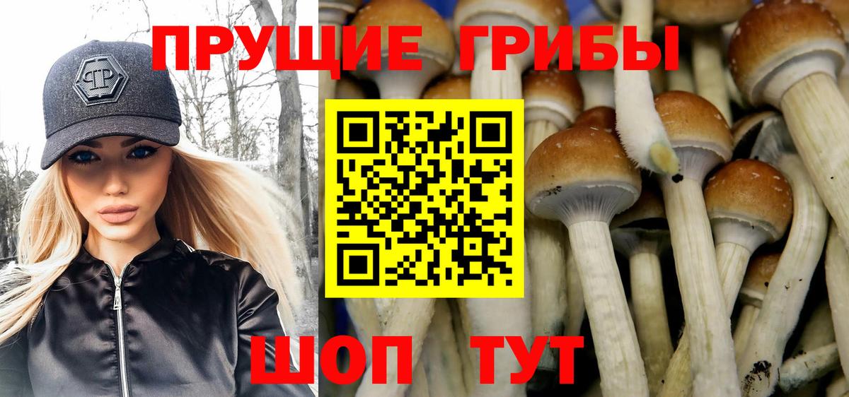 Коряжма  Псилоцибиновые грибы GOLDEN TEACHER  Вход с VPN 
