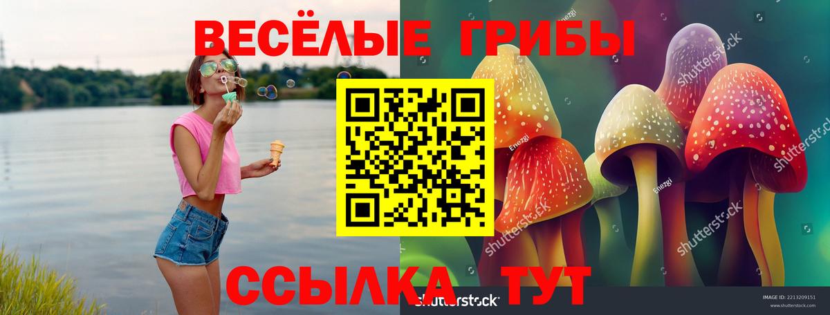 Галлюциногенные грибы Psilocybine cubensis Коряжма